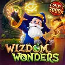 Wizdom Wonders