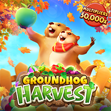 Groundhog Harvest
